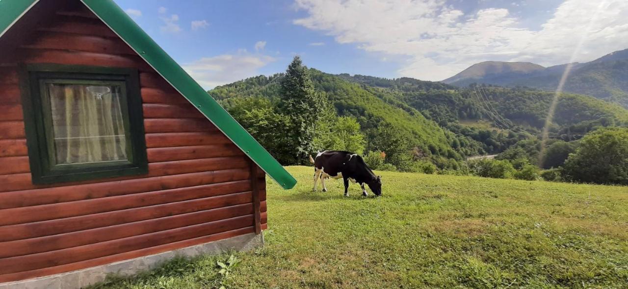 Vila Etno Selo Zuric Mojkovac Exteriér fotografie