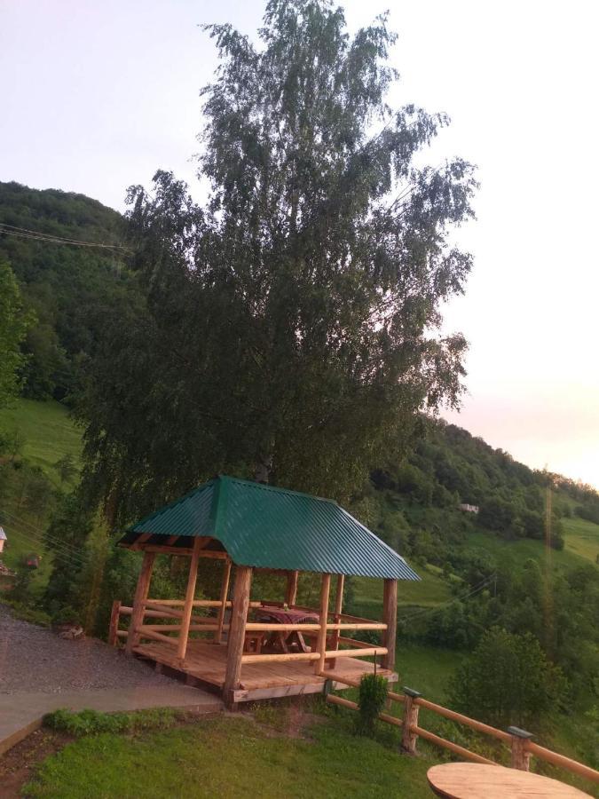 Vila Etno Selo Zuric Mojkovac Exteriér fotografie